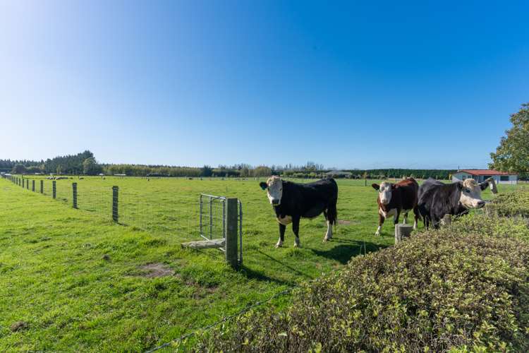 172 Rakaia Barrhill Methven Road Rakaia_10