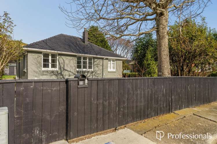 30 Harris Street Naenae_16