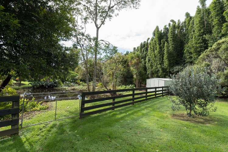 88 Shepherd Road Kerikeri_18