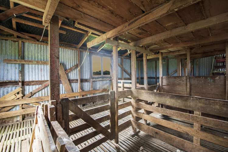 159 Koputaroa Road Levin_17