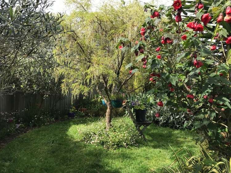 18b Monarch Place Paraparaumu Beach_12