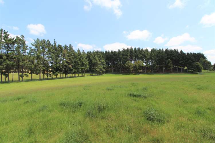 154 Te Rakehou Road Feilding_12