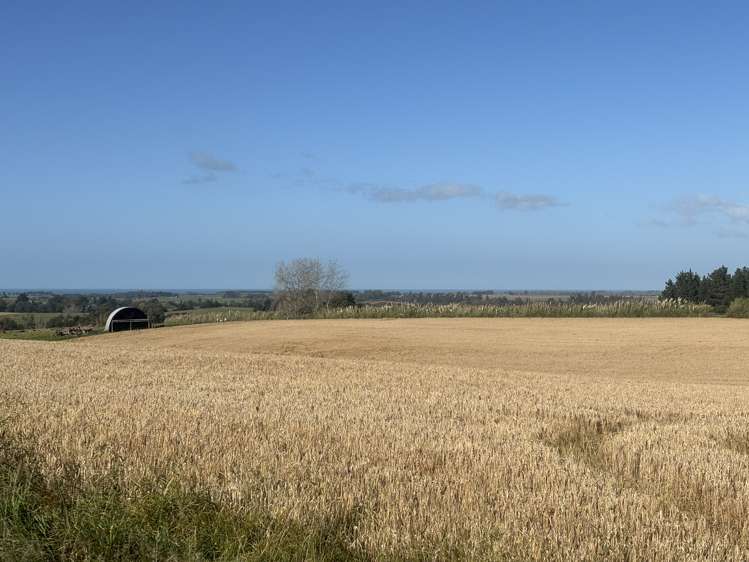Lot 2 Adair Road Fairview_2