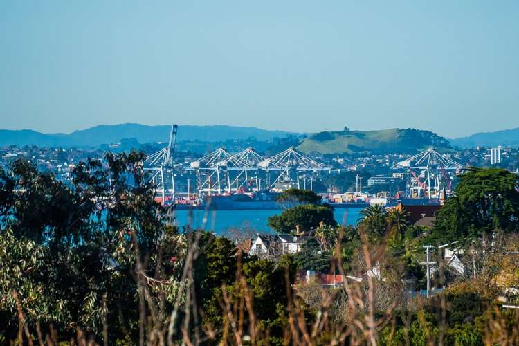 1/4 Tui Glen Road Birkenhead_4