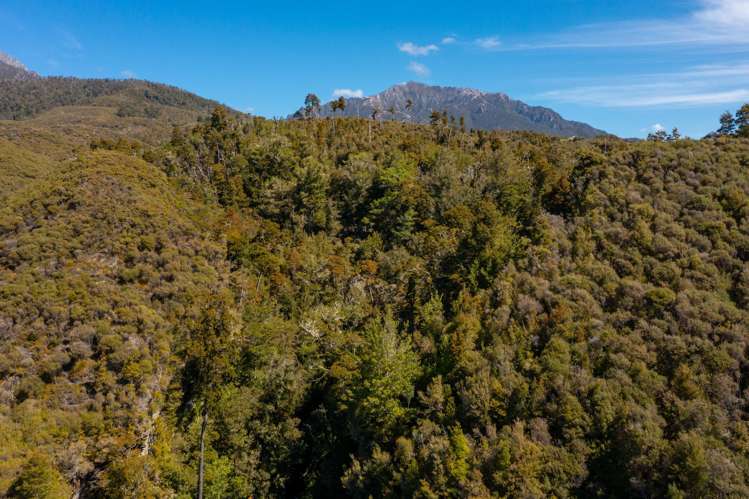 220 Quartz Range Road Bainham_54