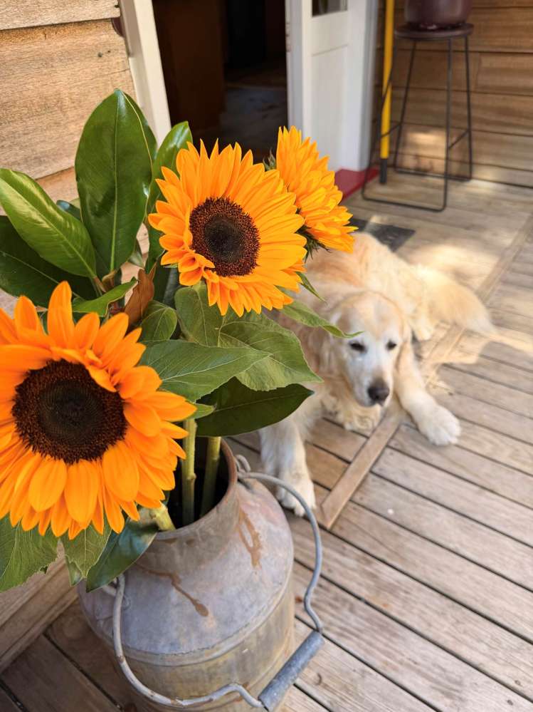 51 Wood Bay Road Titirangi_26