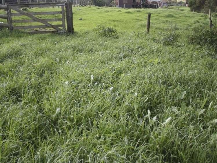 19 Darmah Lane Mangawhai_20