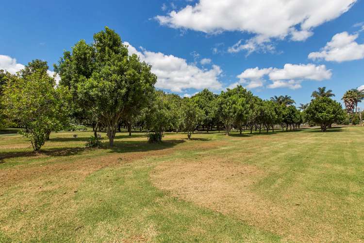 260 Ngunguru Road Glenbervie_23