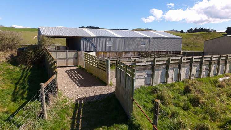 137 McLeods Road Palmerston_14