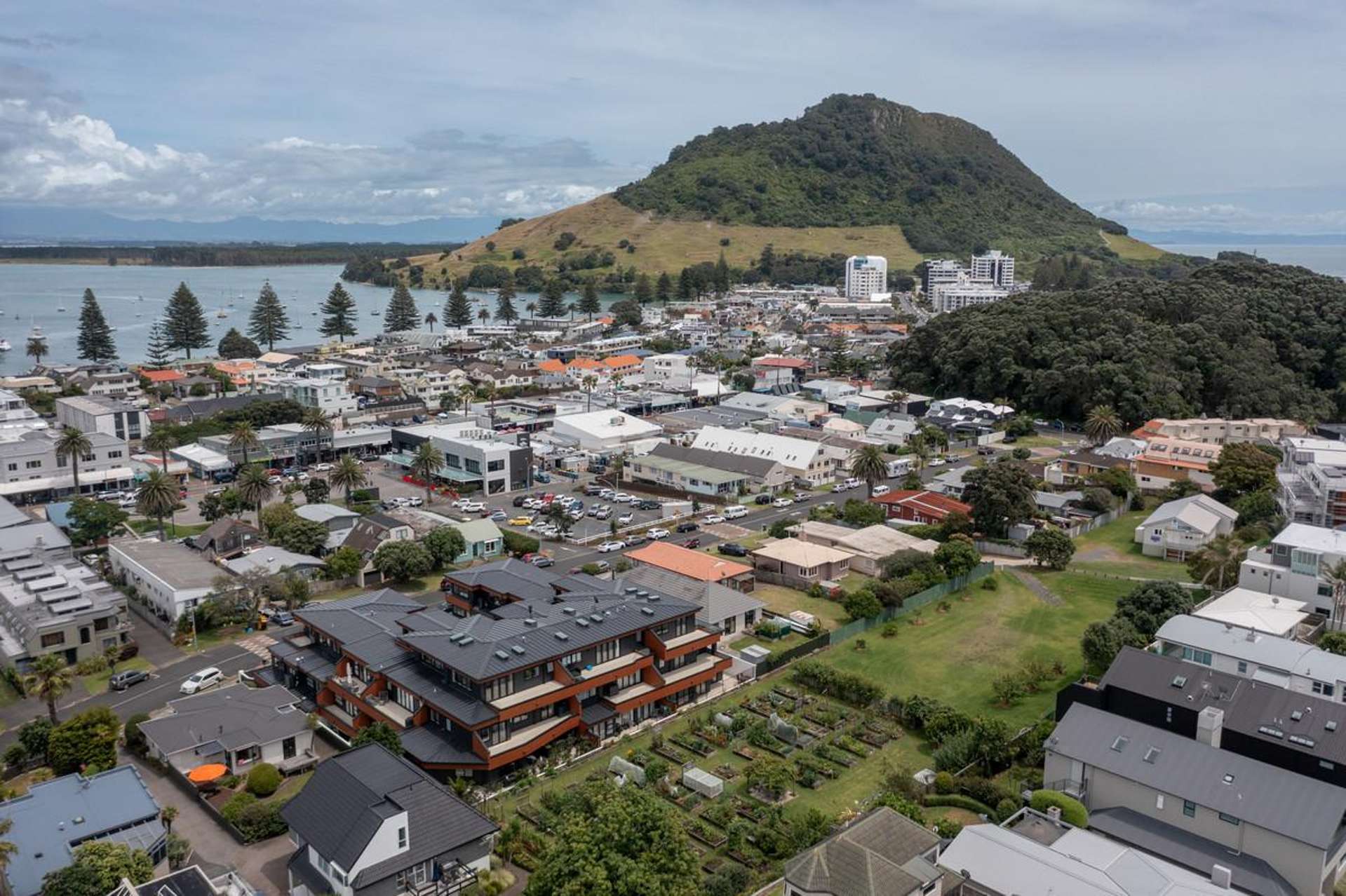 29C May Street Mount Maunganui_0