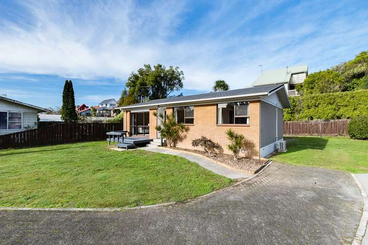 31 Culverdon Street Dinsdale_12