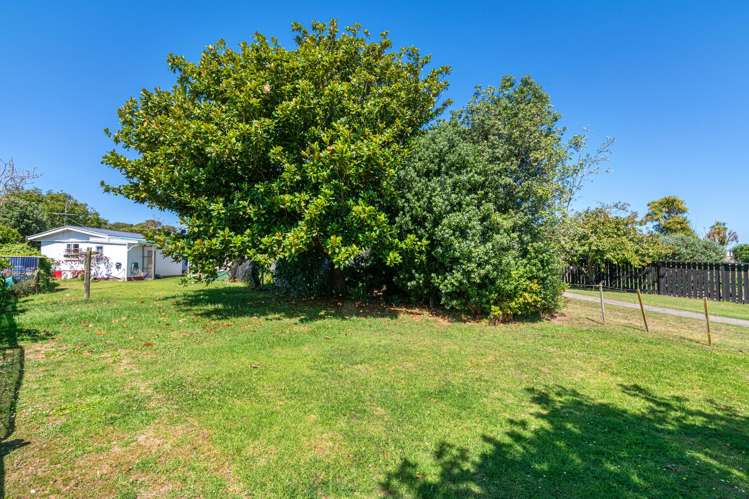 4 James Mcleod Road Shelly Beach_16