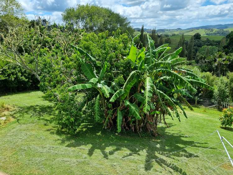 49 Gorge Road Maungaturoto_7