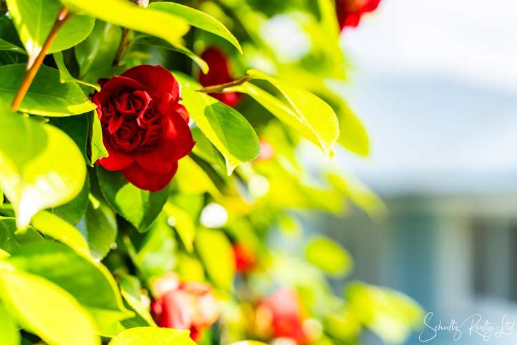 23 View Street Maungaturoto_38