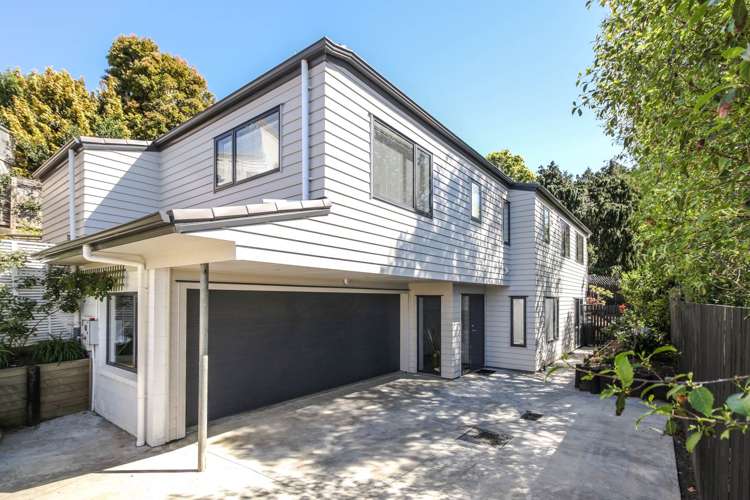 21a Karaka Park Place Glendowie_0