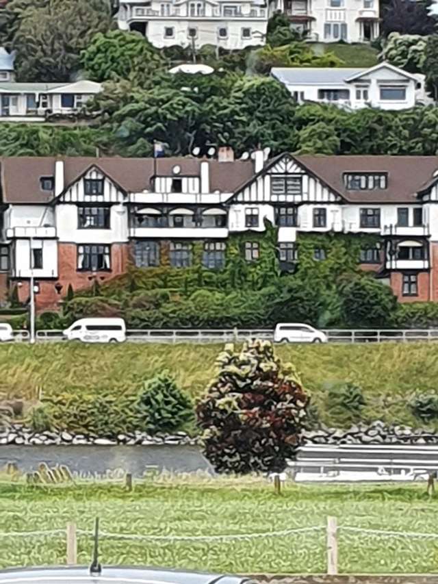 19/15 Putiki Drive Durie Hill_2