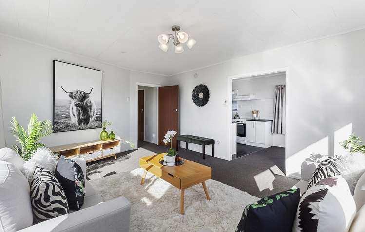 19 Lomita Road Johnsonville_8