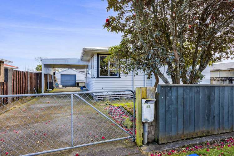 12 Nikau Street Inglewood_19