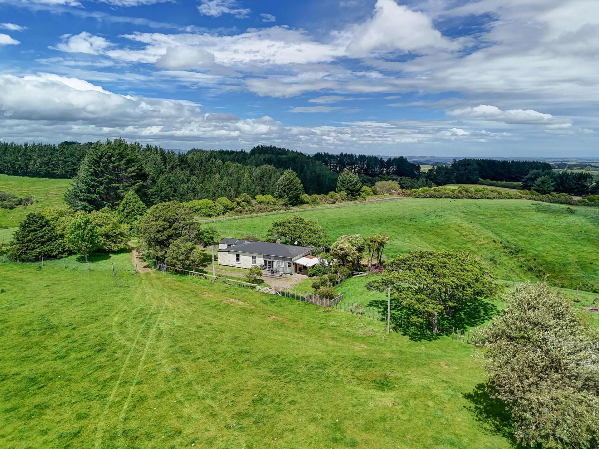 1173 Karahaki Road Waverley_0