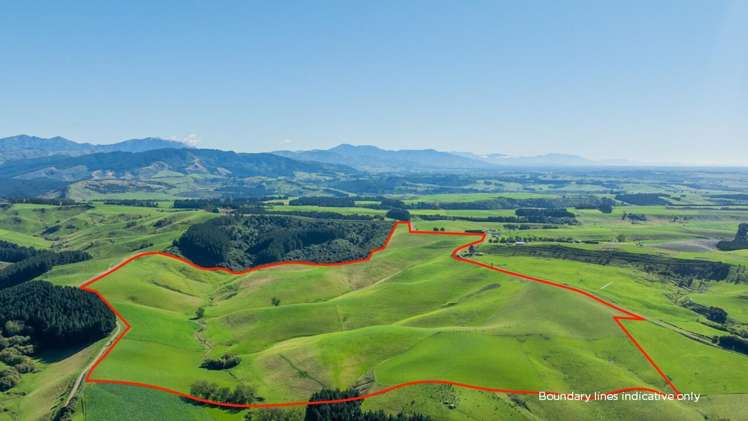 574 Spur Hut Road Temuka_12
