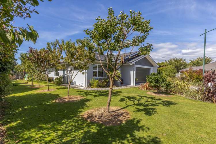 23 Weld Street Levin_18