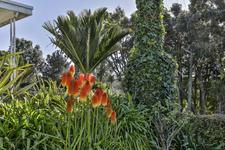 11 Miha Road Titirangi_19