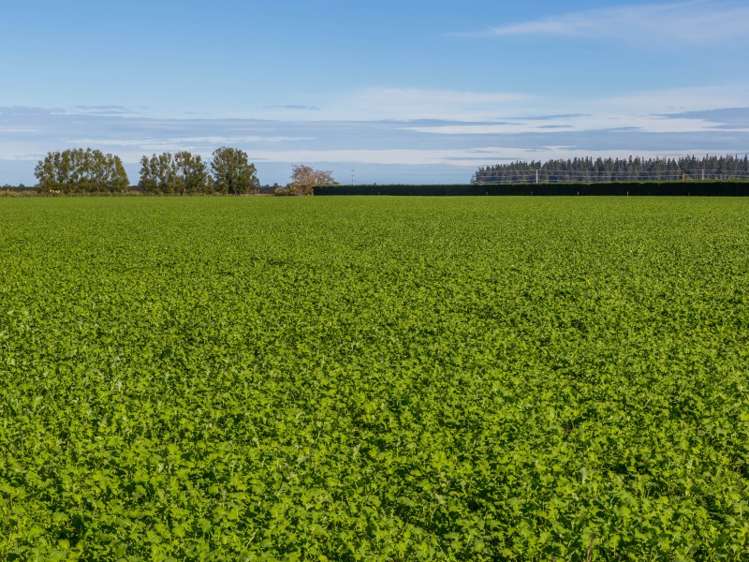 379 Kimberley Road Darfield_24