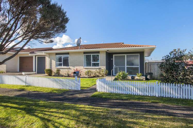 37B Haszard Street_0