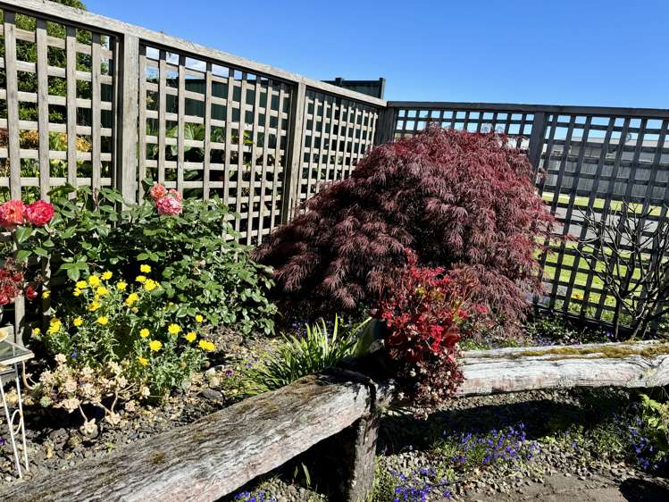 5a Tui Street Whakatane_10