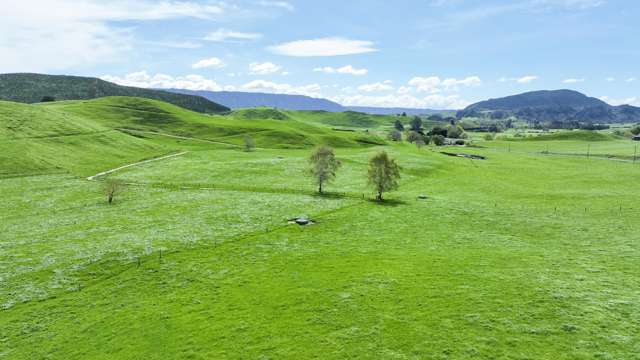 62 Rehi Road Ngakuru_1