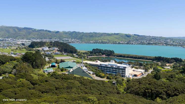 1A Whitford Brown Avenue Papakōwhai_2