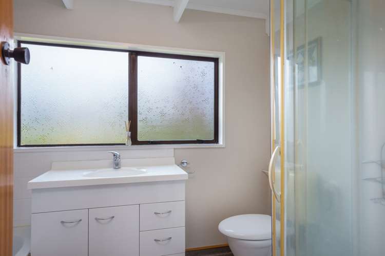 5 Wilson Street Renwick_15