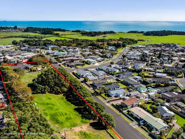 Panoramic views, privacy & future potential
