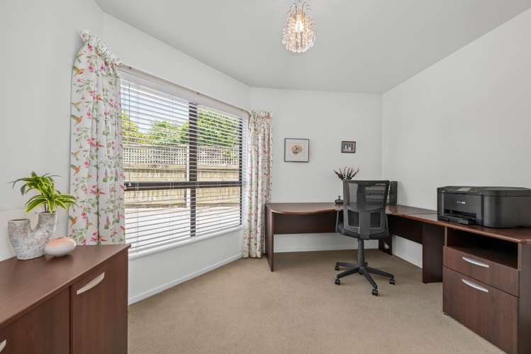 223a Redwood Street Witherlea_15