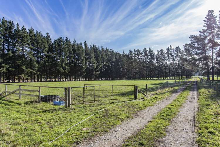 1197 Wolffs Road West Eyreton_15