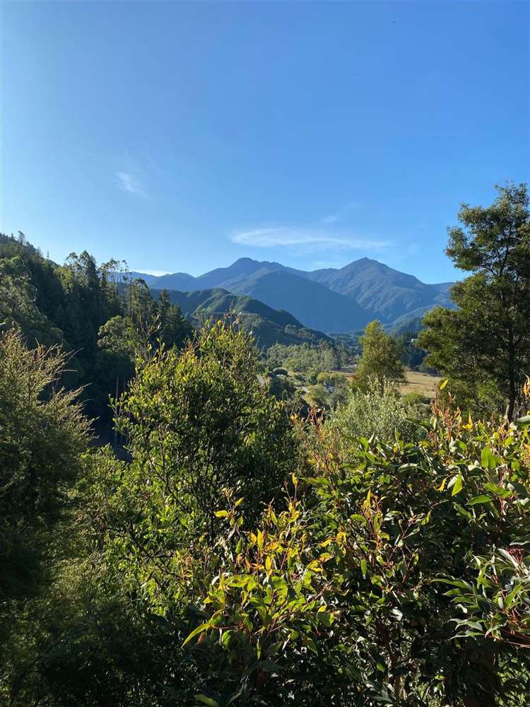 311 Onamalutu Road Wairau Valley_32