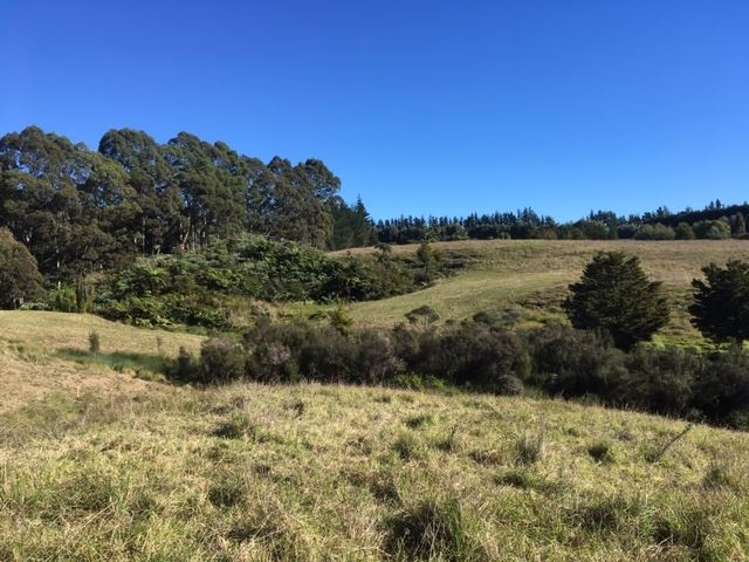 27 Redcliffs Road Kerikeri_5