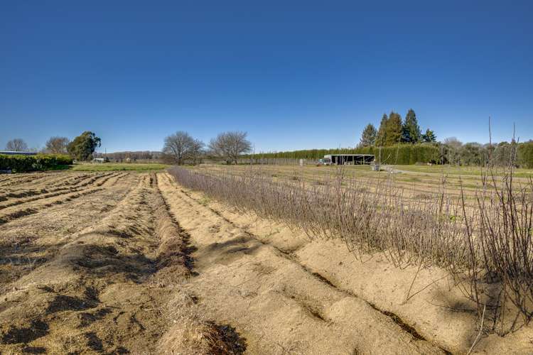 Kiwi Crunch Orchard Portfolio Twyford_33