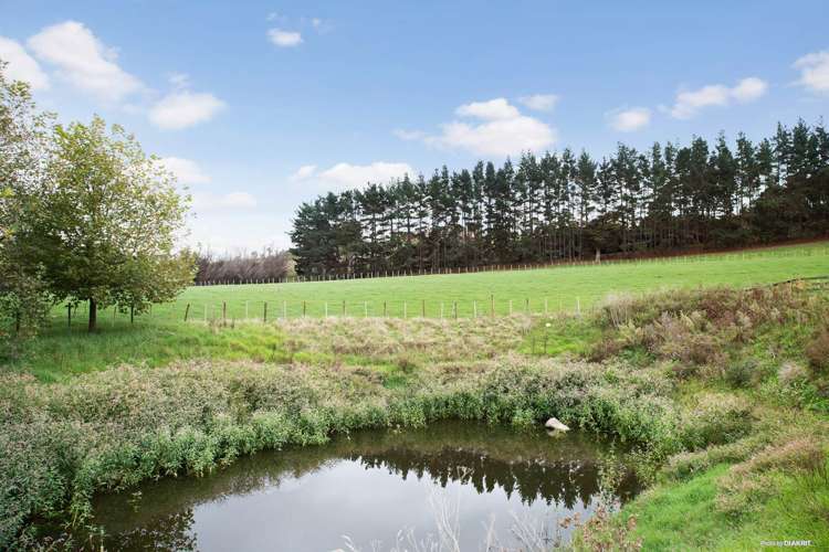 83 Rogers Road Puni_14