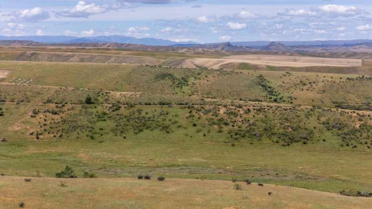 Lot 22 Nelson Ridge Road Alexandra_9