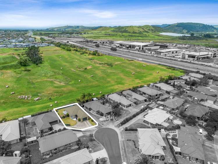 17 Sequoia Grove Mt Maunganui_19