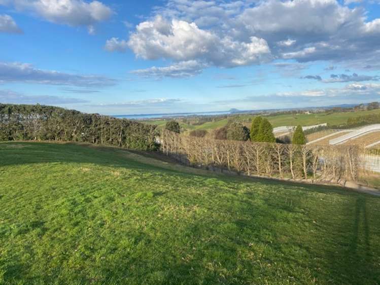 Thompsons Track Aongatete_8