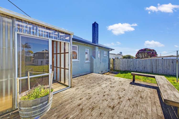 403 Carrington Street Vogeltown_31