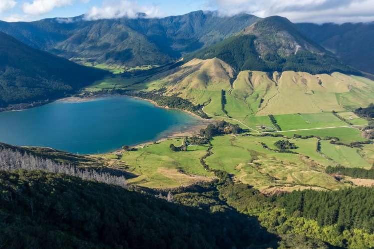803 Manaroa Road Marlborough Sounds_38