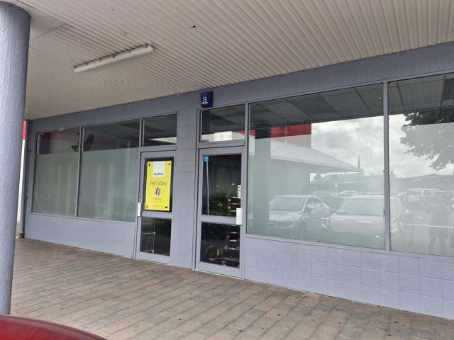 170 George Street Te Awamutu_1