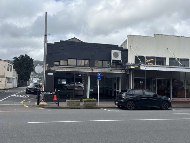 161 Jackson Street Petone_4