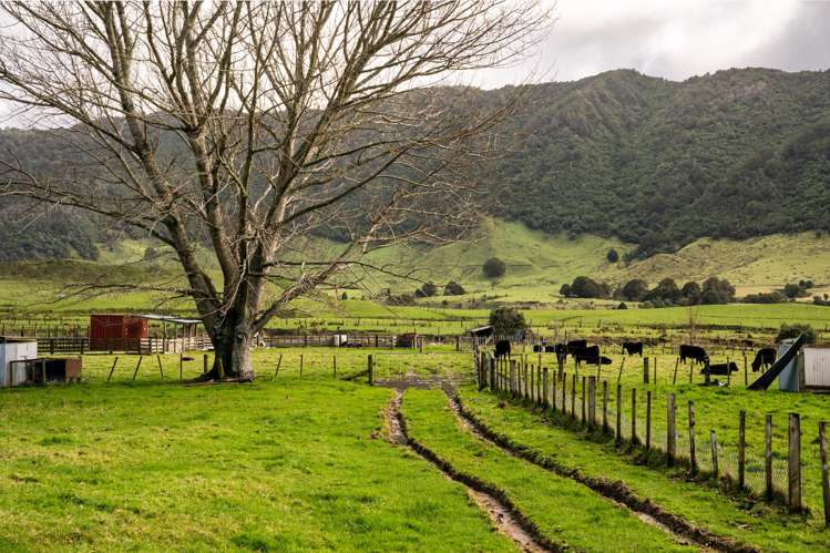 200a Moanui Road Matawai_19