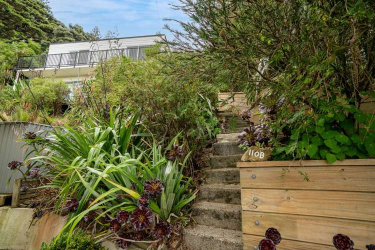 110B Grafton Road Roseneath_19