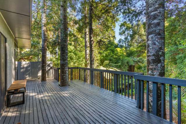 19 Tainui Road Titirangi_3