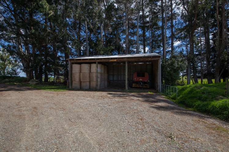 274 Finnis Road Pohangina_19